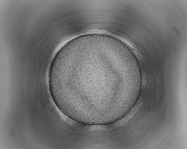 X0000112001430200908241423