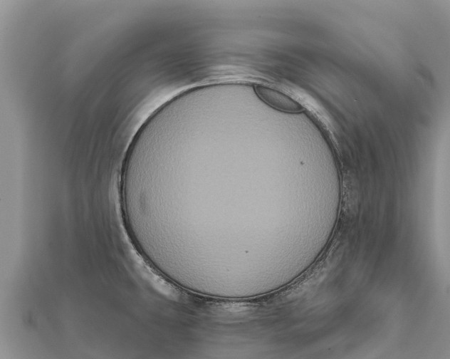 X0000112001431200908241423