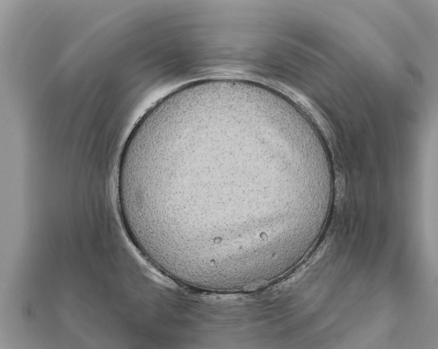 X0000112001432200908241423