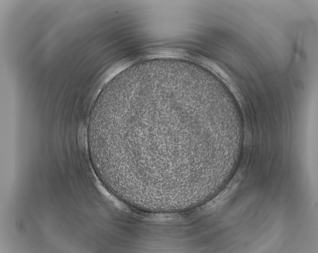 X0000112001433200908241423