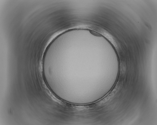 X0000112001436200908241423