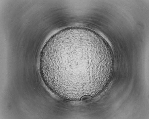 X0000112001437200908241423