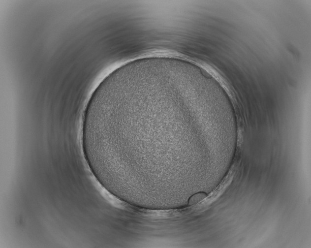 X0000112001438200908241423