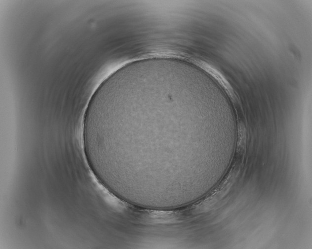 X0000112001439200908241423