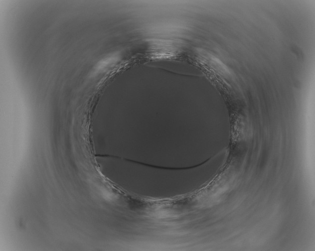 X0000112001441200908241423