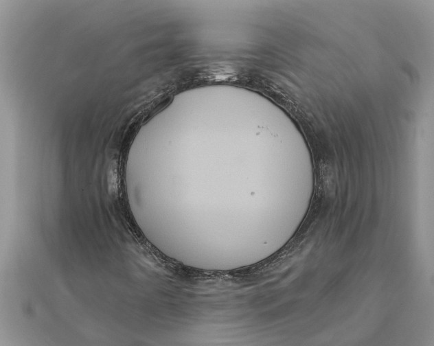 X0000112001442200908241423