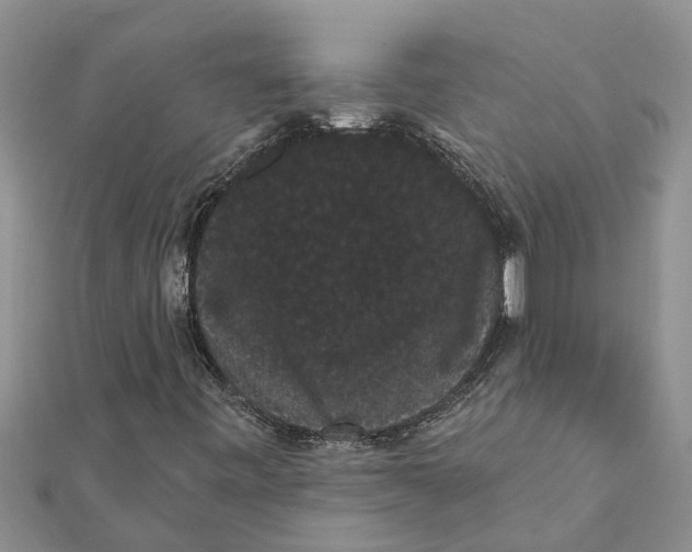 X0000112001443200908241423