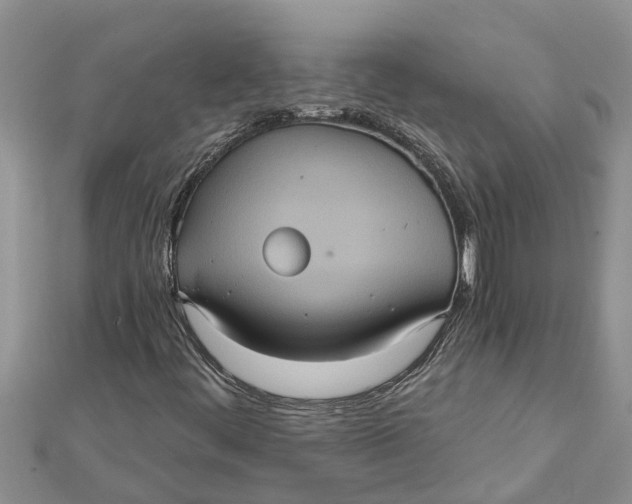 X0000112001444200908241423