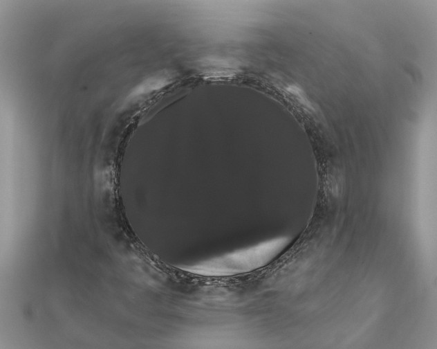 X0000112001445200908241423