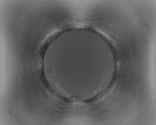 X0000112001447200908241423