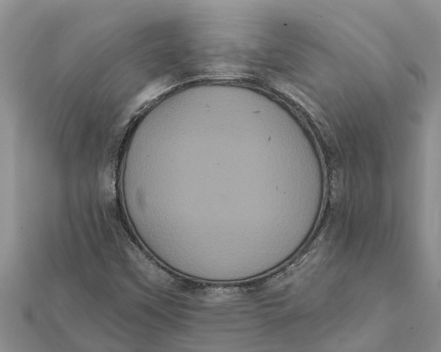 X0000112001451200908241423