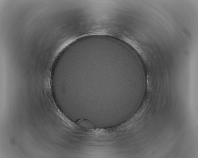 X0000112001452200908241423