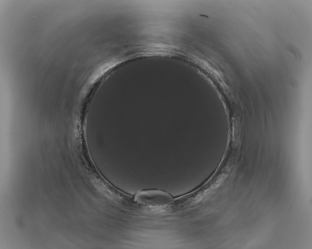 X0000112001453200908241423