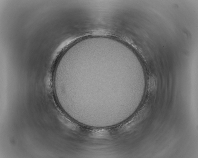 X0000112001454200908241423