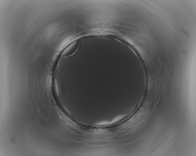 X0000112001459200908241422