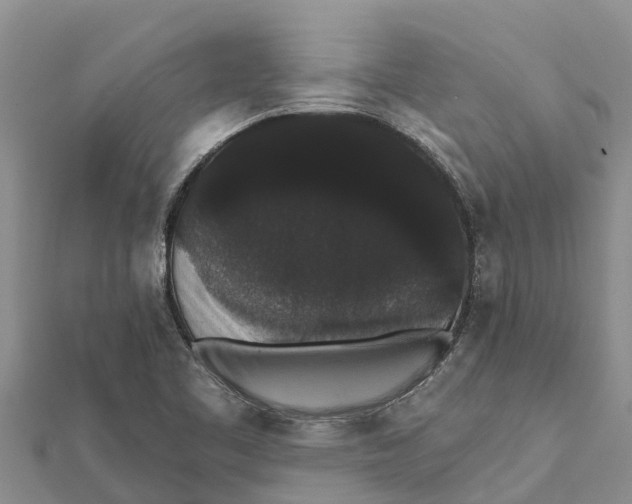 X0000112001461200908241422