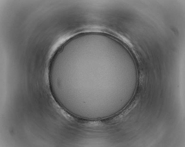 X0000112001464200908241422