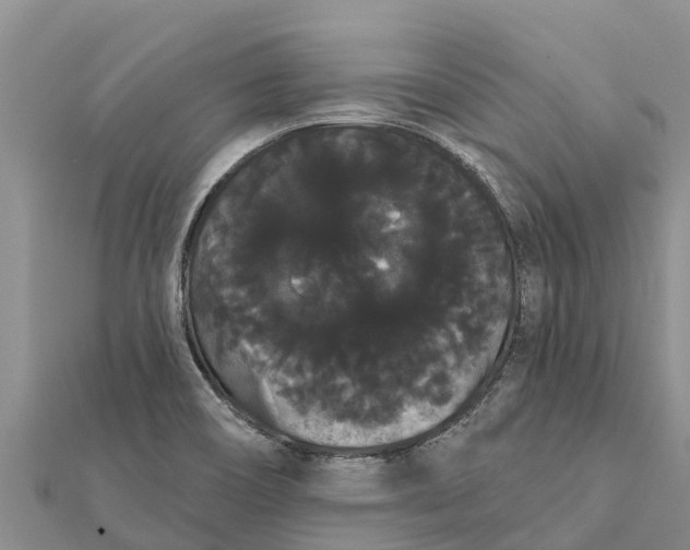 X0000112001466200908241422