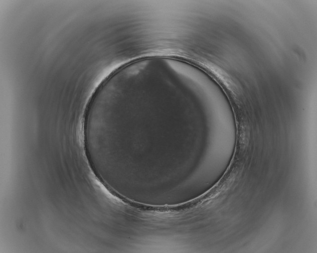 X0000112001468200908241422