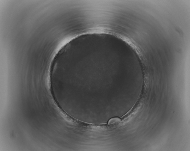 X0000112001469200908241422