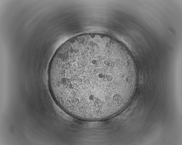 X0000112001471200908241422