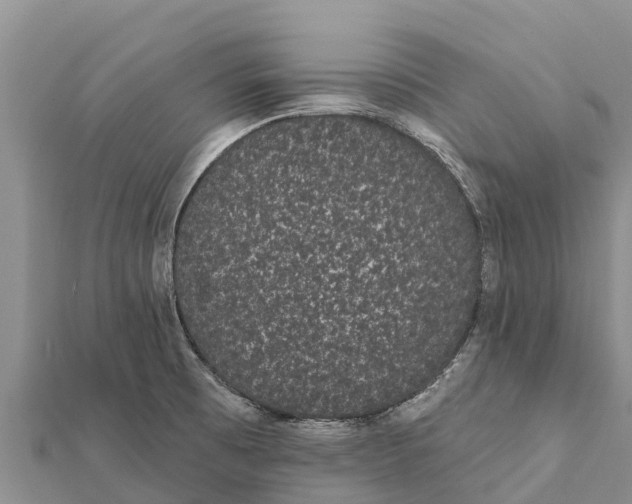 X0000112001473200908241422