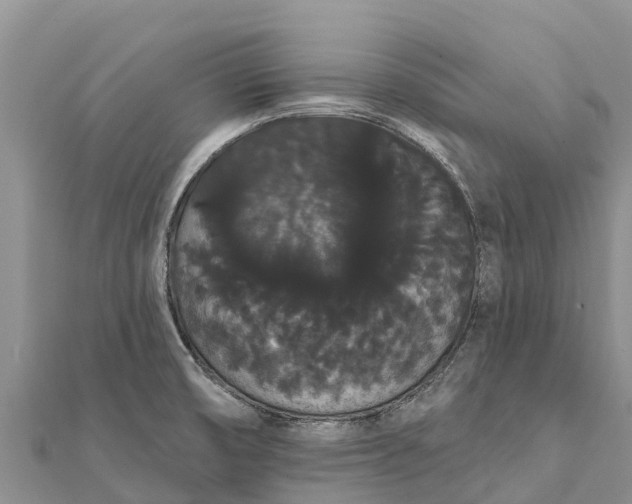 X0000112001474200908241422