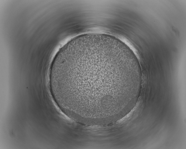 X0000112001477200908241422