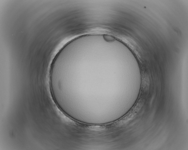 X0000112001478200908241422