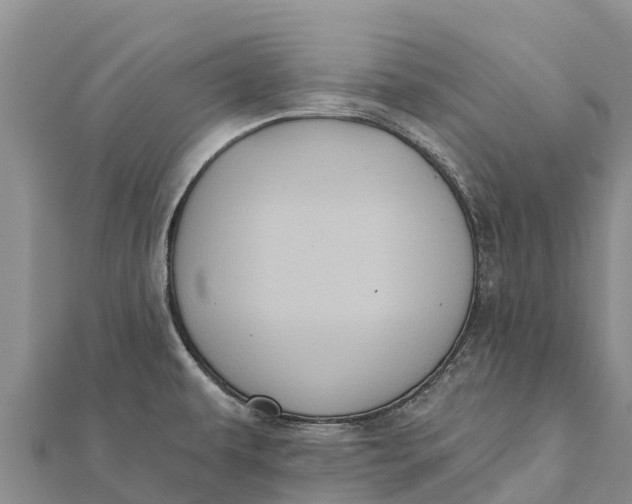 X0000112001479200908241422