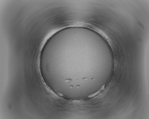 X0000112001480200908241422