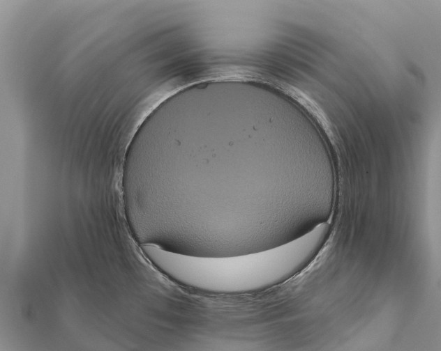 X0000112001481200908241422