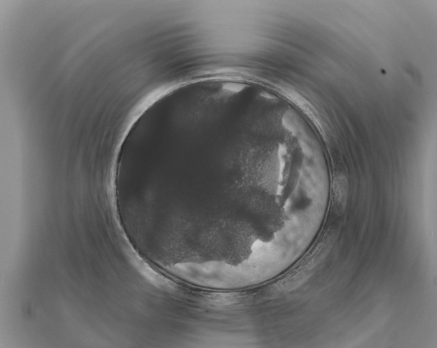 X0000112001482200908241422