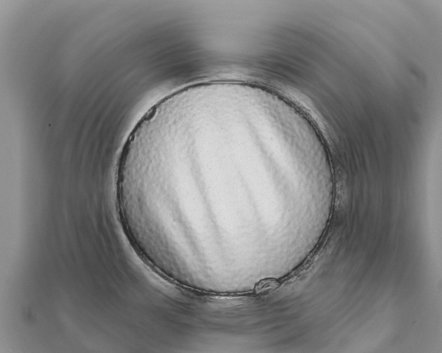 X0000112001483200908241422