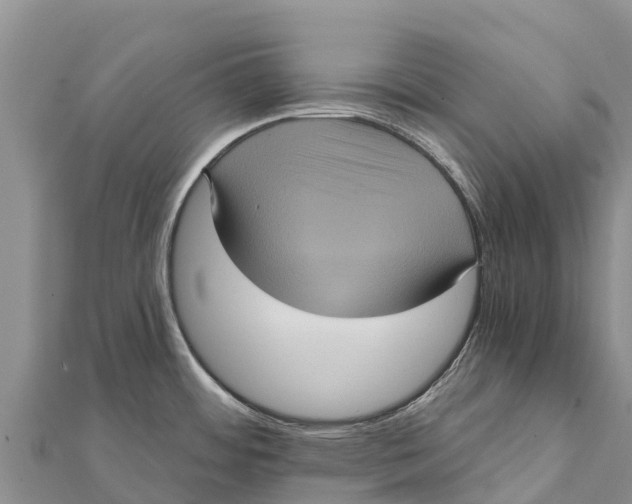 X0000112001484200908241422