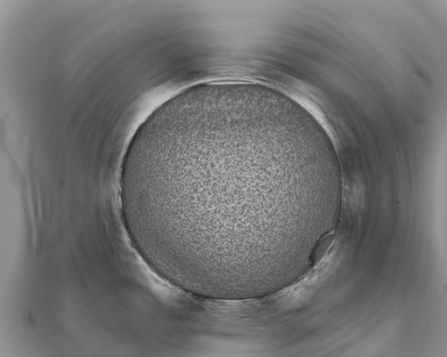 X0000112001485200908241422