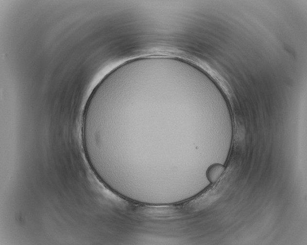 X0000112001486200908241422