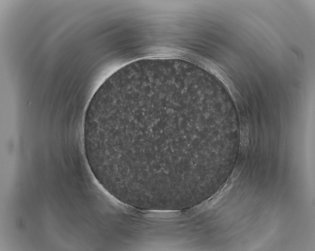 X0000112001487200908241422