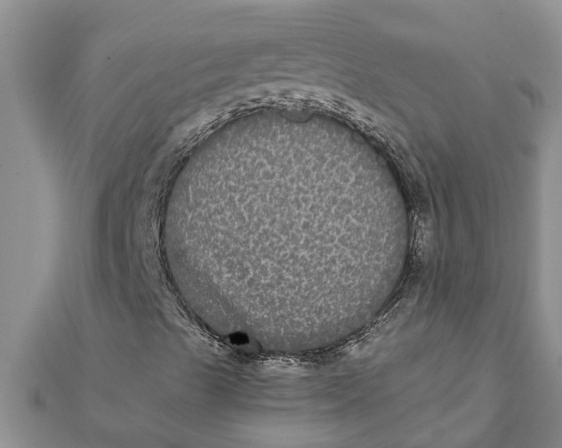 X0000112001489200908241421