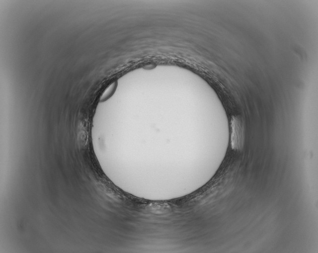 X0000112001491200908241421