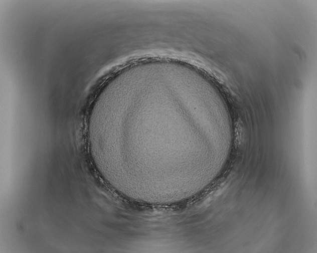 X0000112001494200908241422