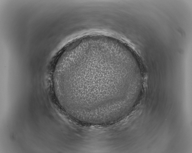 X0000112001496200908241422