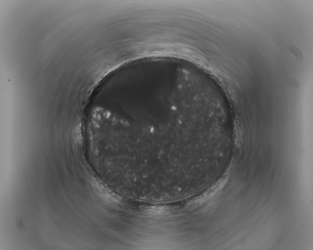 X0000112001497200908241422