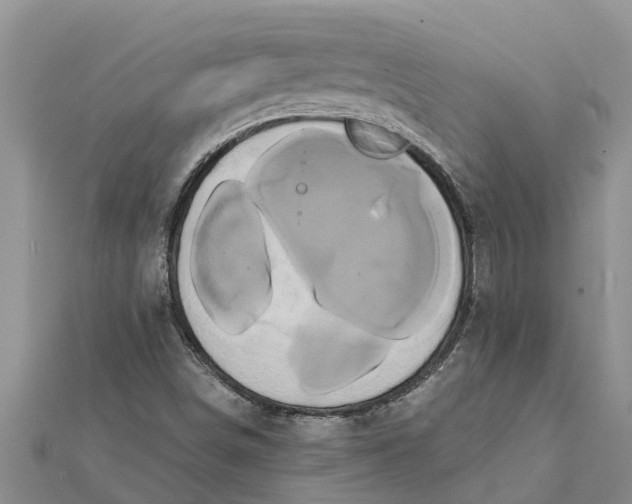 X0000112001498200908241422