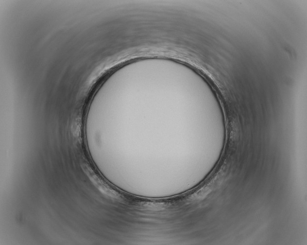 X0000112001499200908241422