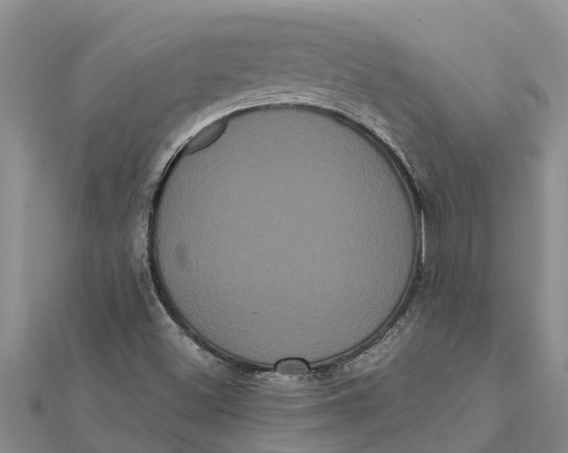 X0000112001500200908241422