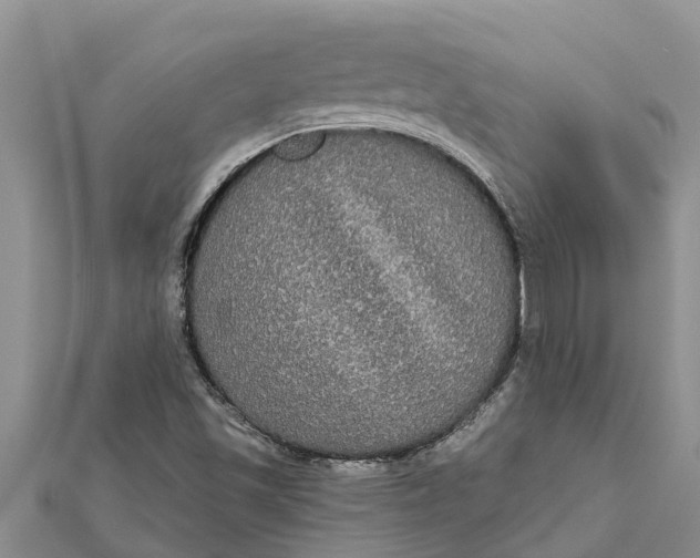 X0000112001501200908241422