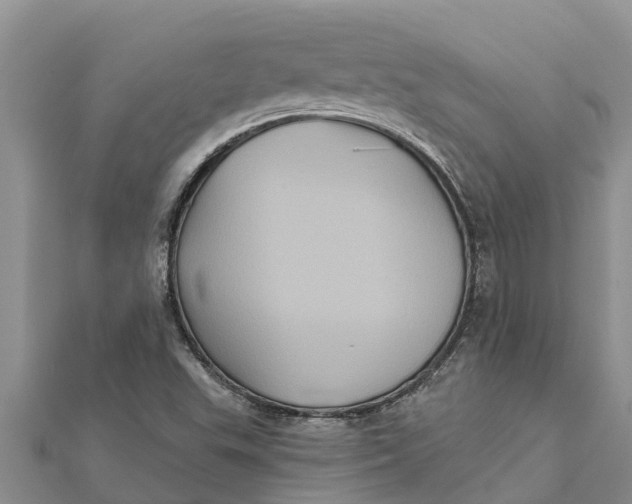 X0000112001503200908241422