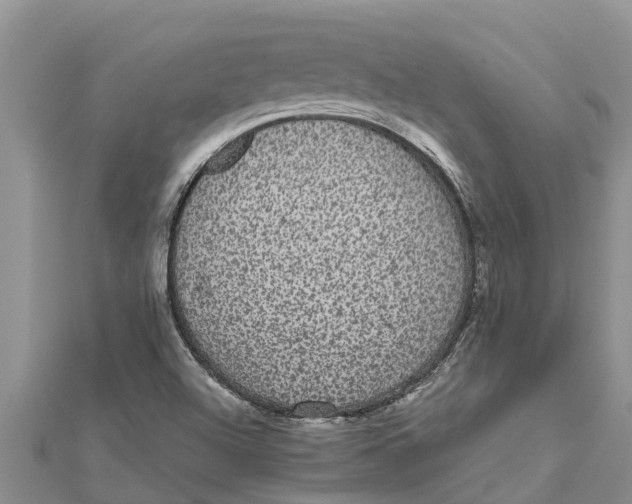 X0000112001504200908241422