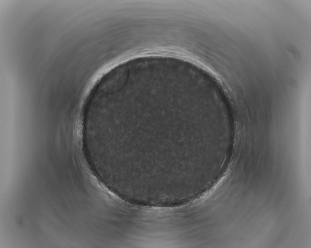 X0000112001506200908241422